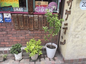 赤霧島